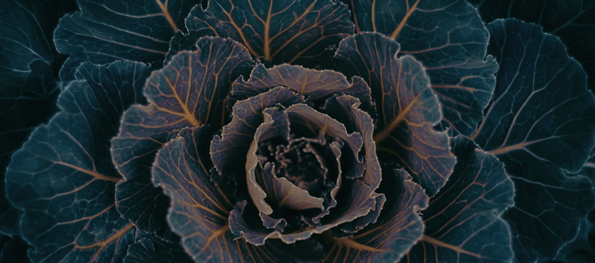 image of the interior of a restaurant