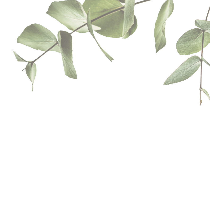 image of green leaves